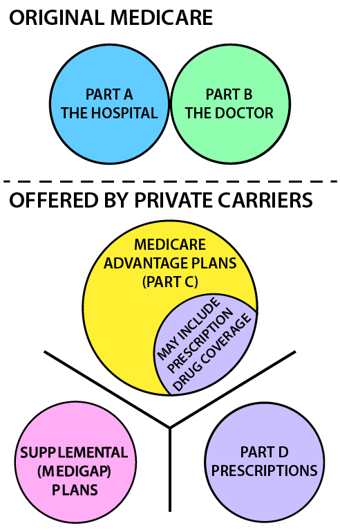 Medicare And Other Insurance Options Illustration